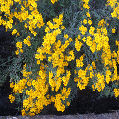 The beauty of mountains