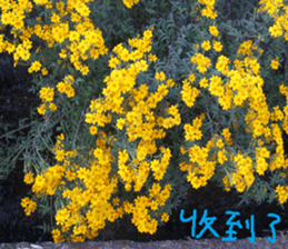 The beauty of mountains sticker #14496390