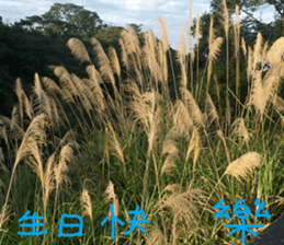 The beauty of mountains sticker #14496393