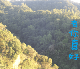 The beauty of mountains sticker #14496396