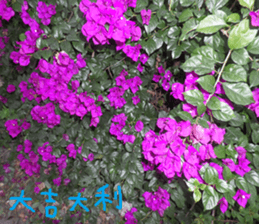 The beauty of mountains sticker #14496397