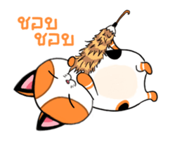 Cat up up sticker #14497187