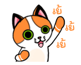 Cat up up sticker #14497194
