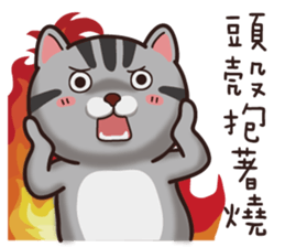 VITA VITA sticker #14502334