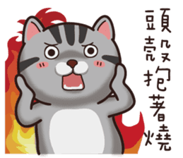 VITA VITA sticker #14502334