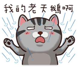 VITA VITA sticker #14502341