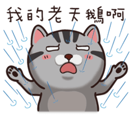 VITA VITA sticker #14502341