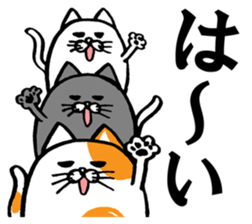 Marumaru-busuneko!7 sticker #14504658