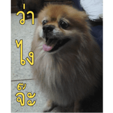 Slang Humor photos V.2 sticker #14504846