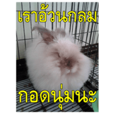 Slang Humor photos V.2 sticker #14504847