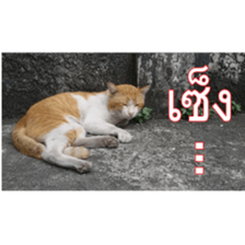 Slang Humor photos V.2 sticker #14504850