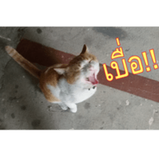 Slang Humor photos V.2 sticker #14504852