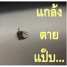 Slang Humor photos V.2 sticker #14504855