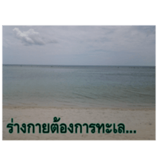 Slang Humor photos V.2 sticker #14504856