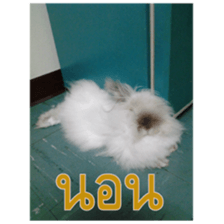 Slang Humor photos V.2 sticker #14504859