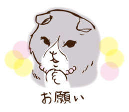 She is Coquettish-Fold sticker #14505249