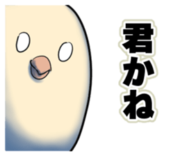 Dangerous Bird 3 sticker #14505511