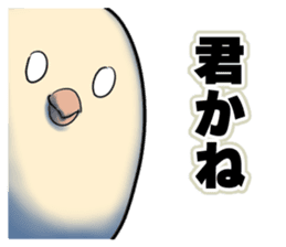 Dangerous Bird 3 sticker #14505511