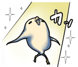 Dangerous Bird 3 sticker #14505528