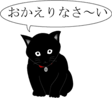 Kuro-chan of the black kitten sticker #14507536