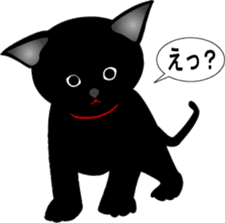 Kuro-chan of the black kitten sticker #14507537