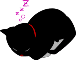 Kuro-chan of the black kitten sticker #14507539