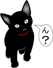 Kuro-chan of the black kitten sticker #14507541