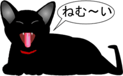Kuro-chan of the black kitten sticker #14507546