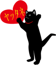Kuro-chan of the black kitten sticker #14507547