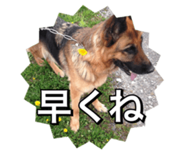 pelly and lucky sticker #14509960