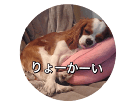 pelly and lucky sticker #14509961