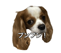 pelly and lucky sticker #14509967