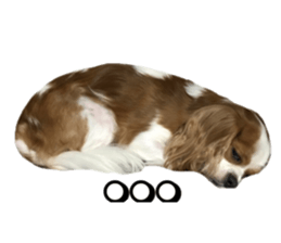 pelly and lucky sticker #14509968