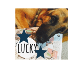 pelly and lucky sticker #14509971