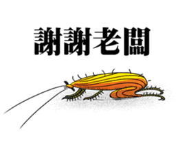 Cockroach Chat Chat Daily sticker #14509974