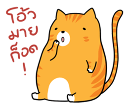 Fat Cat UI sticker #14511306