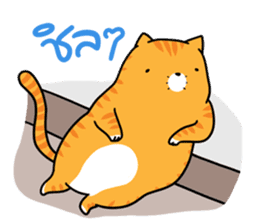 Fat Cat UI sticker #14511307