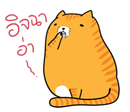 Fat Cat UI sticker #14511323