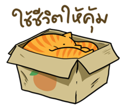 Fat Cat UI sticker #14511338