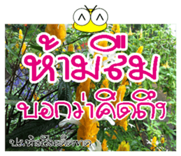 Post-it.Don't forget PluakPlease. sticker #14511383