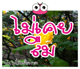 Post-it.Don't forget PluakPlease. sticker #14511385