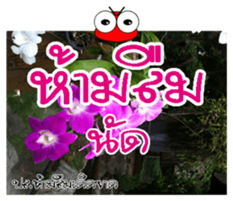 Post-it.Don't forget PluakPlease. sticker #14511394