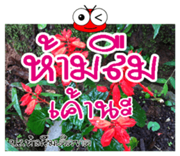 Post-it.Don't forget PluakPlease. sticker #14511399