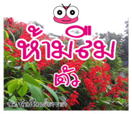 Post-it.Don't forget PluakPlease. sticker #14511400