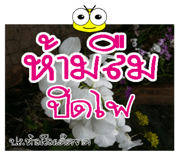 Post-it.Don't forget PluakPlease. sticker #14511403