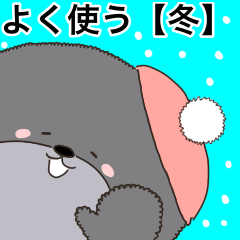 Charming blak dog in winter