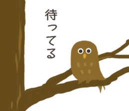 Chick and Owl and Chicken.3 sticker #14512154