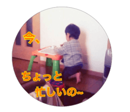 pomeranian shin-chan3 sticker #14513853