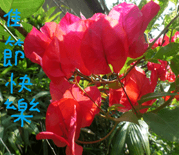 The beauty of the field sticker #14514830