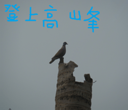 The beauty of the field sticker #14514831